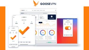 GOOSE VPN Review