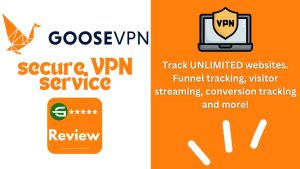 GOOSE VPN Review